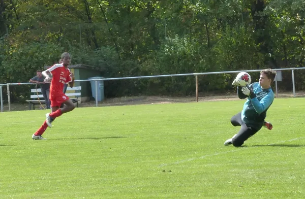 01.09.2018 JSG Heidekicker vs. BSV Halle-Ammendorf