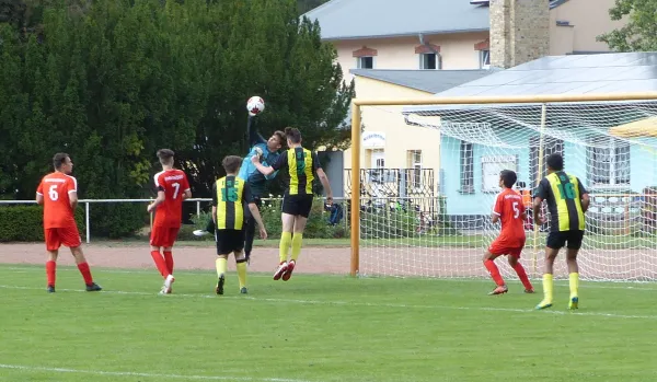 01.09.2018 JSG Heidekicker vs. BSV Halle-Ammendorf