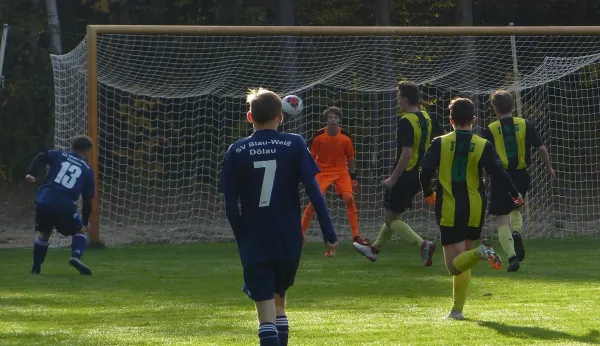 20.10.2018 JSG Heidekicker vs. SV Blau-Weiß Dölau