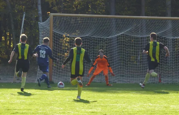 20.10.2018 JSG Heidekicker vs. SV Blau-Weiß Dölau
