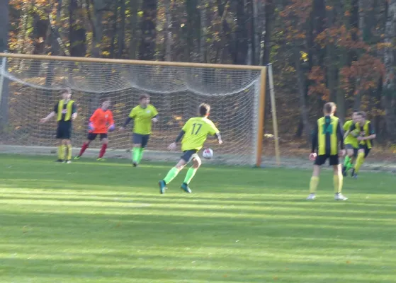 10.11.2018 JSG Heidekicker vs. Wörmlitz-Böllberg