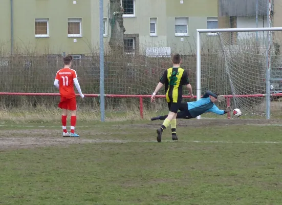 17.03.2019 BSV Halle-Ammendorf vs. JSG Heidekicker