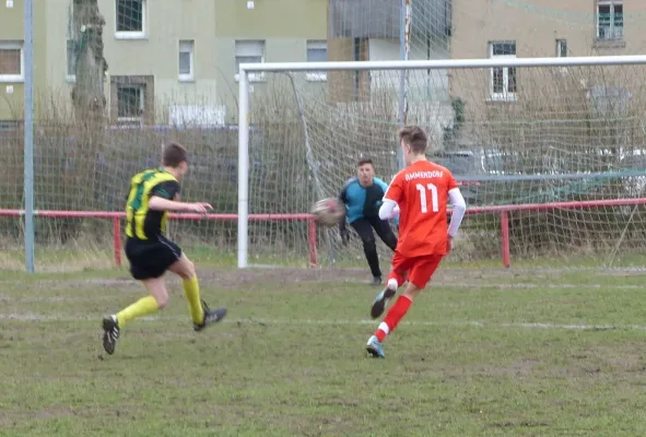 17.03.2019 BSV Halle-Ammendorf vs. JSG Heidekicker