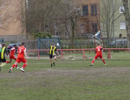 17.03.2019 BSV Halle-Ammendorf vs. JSG Heidekicker