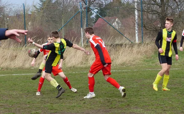 17.03.2019 BSV Halle-Ammendorf vs. JSG Heidekicker