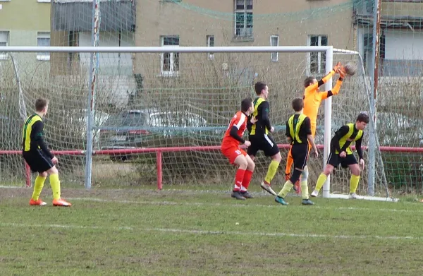 17.03.2019 BSV Halle-Ammendorf vs. JSG Heidekicker