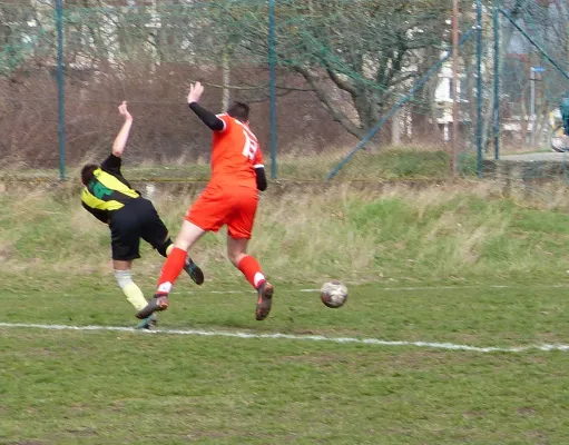 17.03.2019 BSV Halle-Ammendorf vs. JSG Heidekicker