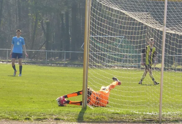 23.03.2019 JSG Heidekicker vs. Turbine Halle