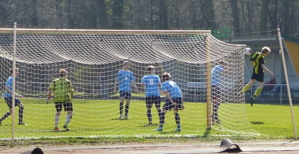 23.03.2019 JSG Heidekicker vs. Turbine Halle