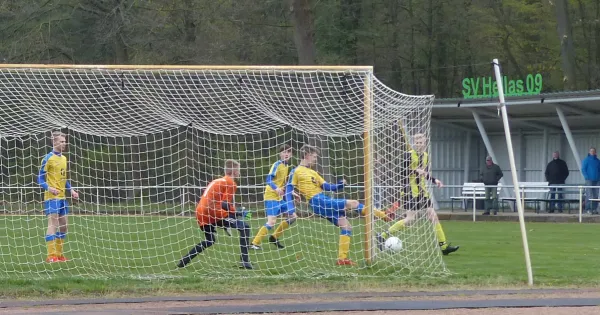 13.04.2019 JSG Heidekicker vs. Zörbig/Fuhnekicker