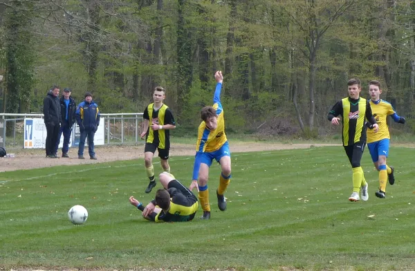 13.04.2019 JSG Heidekicker vs. Zörbig/Fuhnekicker