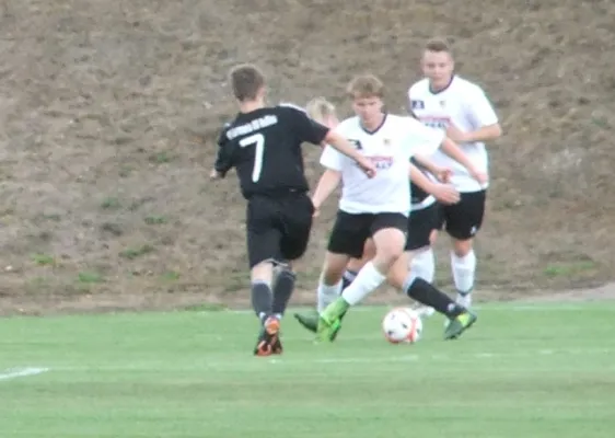 15.09.2018 JSG Heidekicker vs. Germania 08 Roßlau