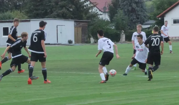 15.09.2018 JSG Heidekicker vs. Germania 08 Roßlau
