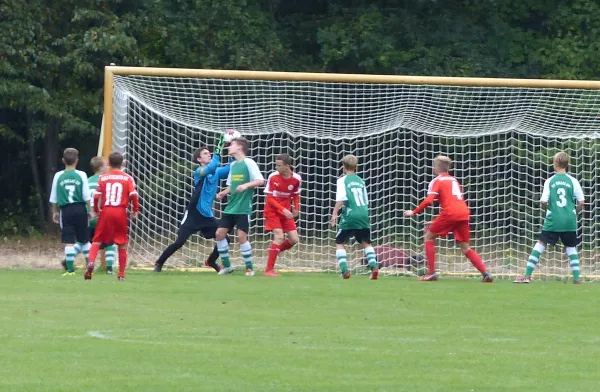 02.09.2018 JSG Heidekicker vs. Hallescher FC