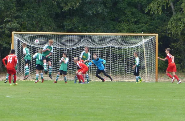 02.09.2018 JSG Heidekicker vs. Hallescher FC