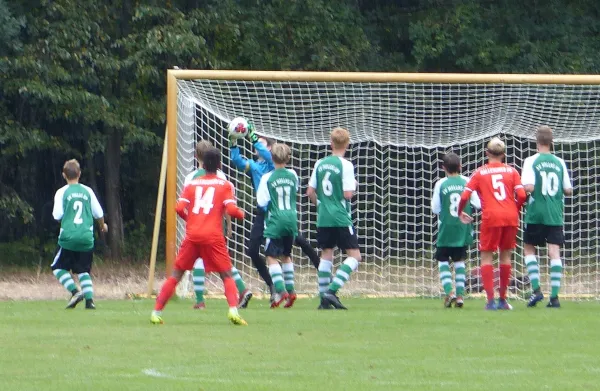 02.09.2018 JSG Heidekicker vs. Hallescher FC