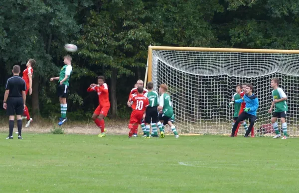 02.09.2018 JSG Heidekicker vs. Hallescher FC