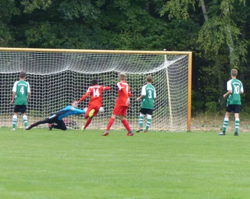 02.09.2018 JSG Heidekicker vs. Hallescher FC