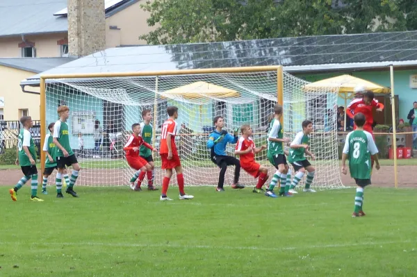 02.09.2018 JSG Heidekicker vs. Hallescher FC