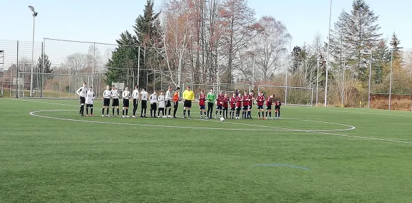 24.02.2019 VfL Halle 96 e.V. vs. JSG Heidekicker
