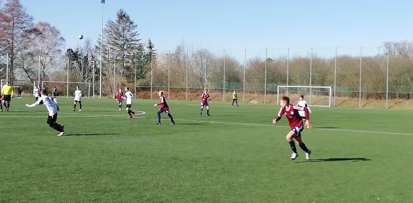 24.02.2019 VfL Halle 96 e.V. vs. JSG Heidekicker