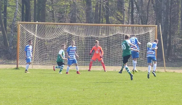 07.04.2019 JSG Heidekicker vs. SV Fortuna Magdeburg