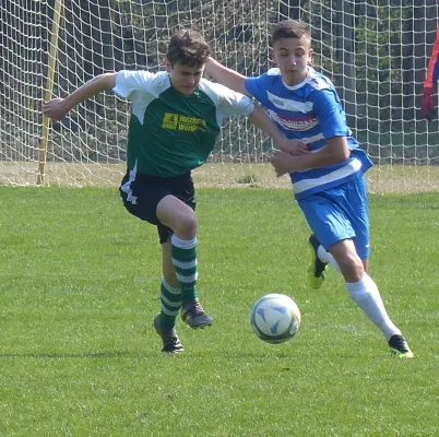 07.04.2019 JSG Heidekicker vs. SV Fortuna Magdeburg