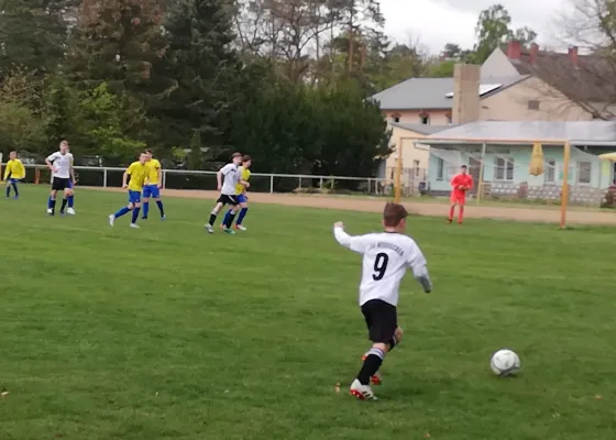 28.04.2019 JSG Heidekicker vs. SV 09 Staßfurt