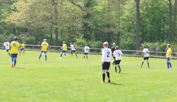 28.04.2019 JSG Heidekicker vs. SV 09 Staßfurt