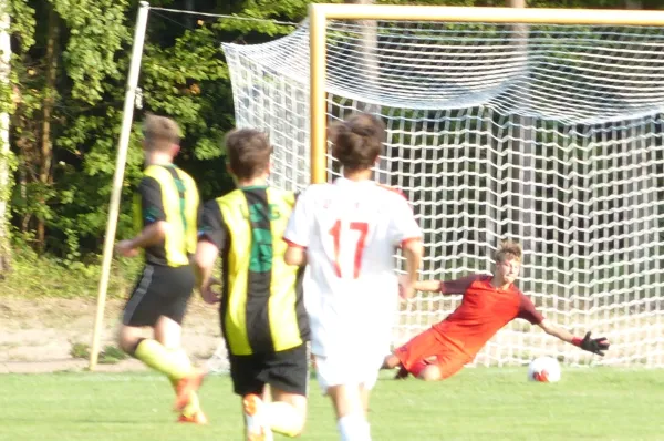 09.08.2018 JSG Heidekicker vs. Hallescher FC
