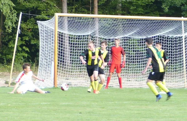 09.08.2018 JSG Heidekicker vs. Hallescher FC