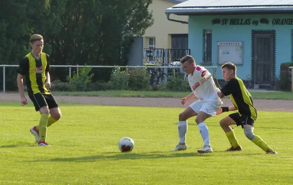 09.08.2018 JSG Heidekicker vs. Hallescher FC