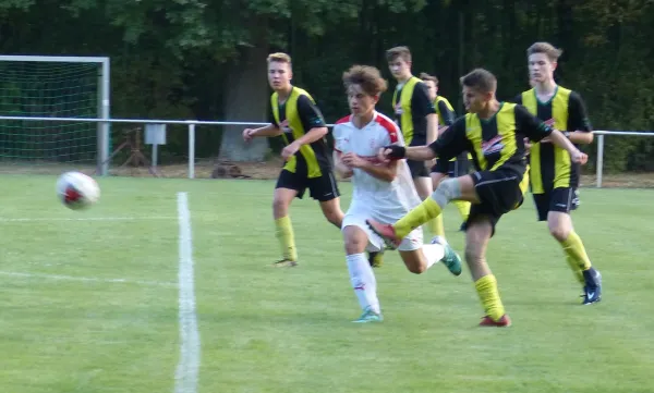 09.08.2018 JSG Heidekicker vs. Hallescher FC
