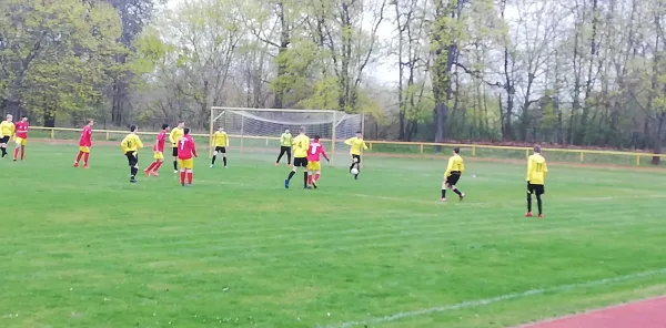 06.04.2019 ASG Vorwärts Dessau vs. JSG Heidekicker II