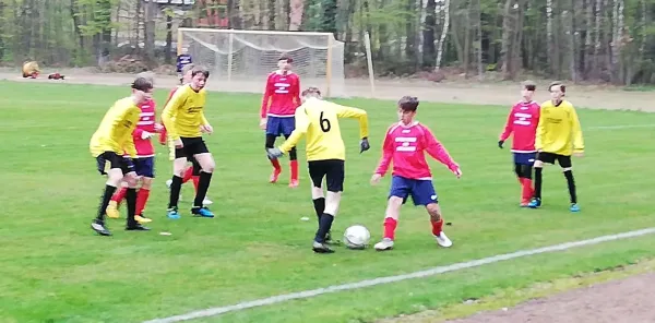 14.04.2019 JSG Heidekicker II vs. SV Blau-Rot Coswig