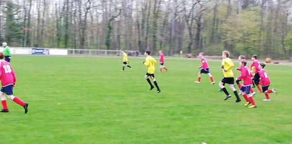 14.04.2019 JSG Heidekicker II vs. SV Blau-Rot Coswig
