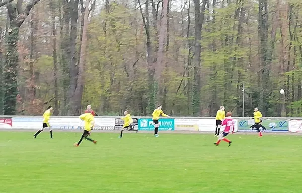 14.04.2019 JSG Heidekicker II vs. SV Blau-Rot Coswig