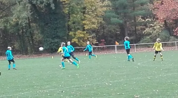 28.10.2018 JSG Heidekicker II vs. SG Seegrehna/Pratau II