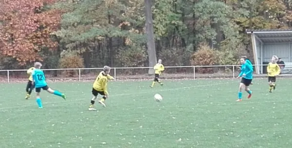 28.10.2018 JSG Heidekicker II vs. SG Seegrehna/Pratau II