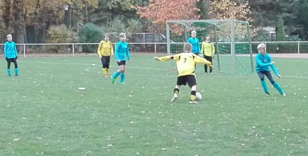 28.10.2018 JSG Heidekicker II vs. SG Seegrehna/Pratau II
