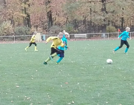 28.10.2018 JSG Heidekicker II vs. SG Seegrehna/Pratau II