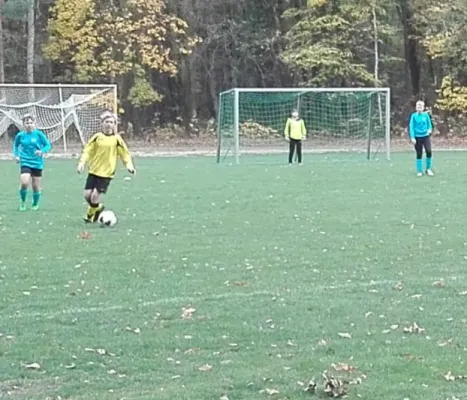 28.10.2018 JSG Heidekicker II vs. SG Seegrehna/Pratau II