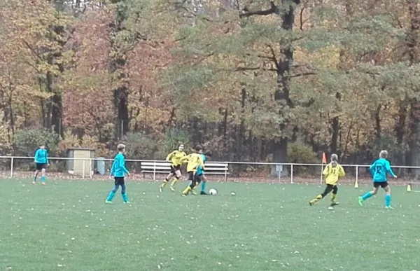 28.10.2018 JSG Heidekicker II vs. SG Seegrehna/Pratau II