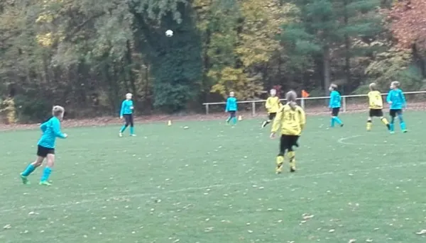 28.10.2018 JSG Heidekicker II vs. SG Seegrehna/Pratau II