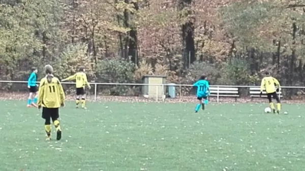 28.10.2018 JSG Heidekicker II vs. SG Seegrehna/Pratau II