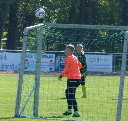 05.05.2019 JSG Heidekicker II vs. Wittenberg/Reinsdorf