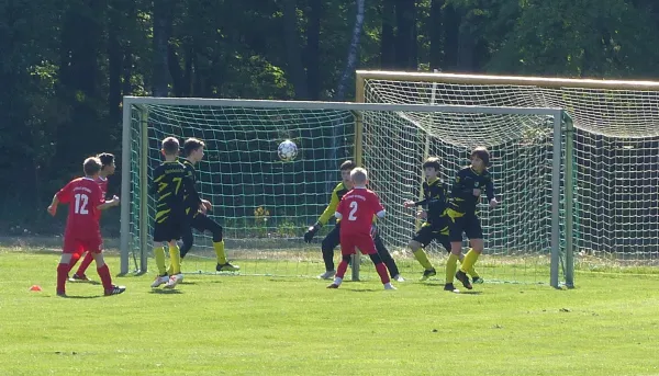 05.05.2019 JSG Heidekicker II vs. Wittenberg/Reinsdorf