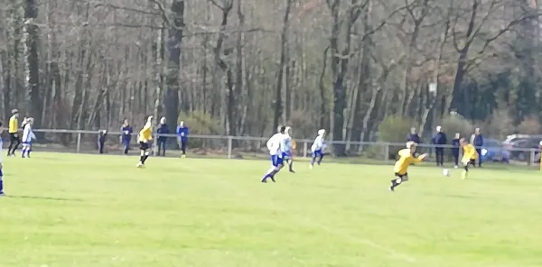 24.03.2019 JSG Heidekicker vs. SG Heiderand II