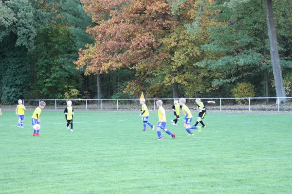 19.10.2018 JSG Heidekicker II vs. VfB Gräfenhainichen