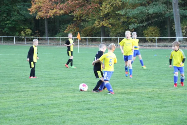 19.10.2018 JSG Heidekicker II vs. VfB Gräfenhainichen